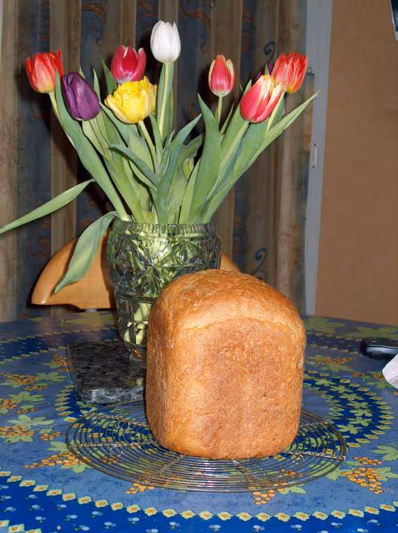 Pain aux cereales