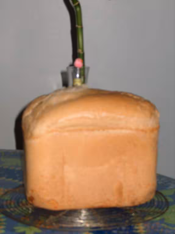 Pain de campagne