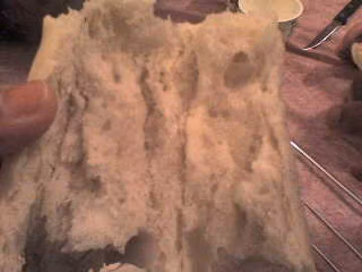 L interieur de mes baguettes