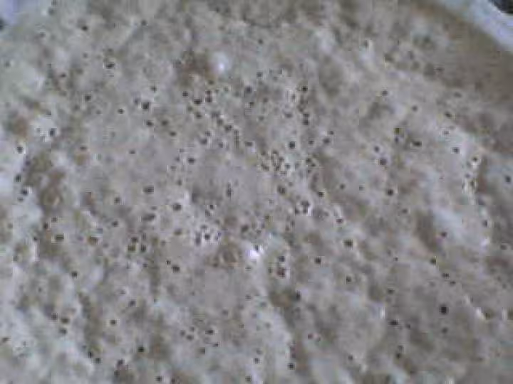 Mon levain