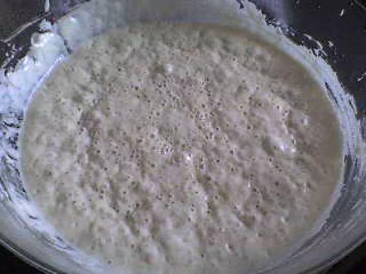 Mon levain