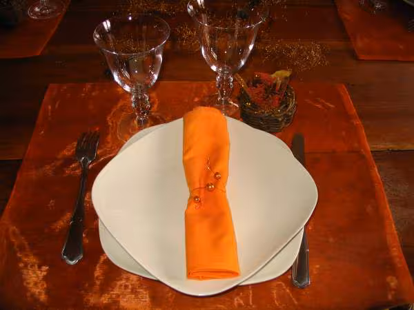 Decoration ton orange l assiette
