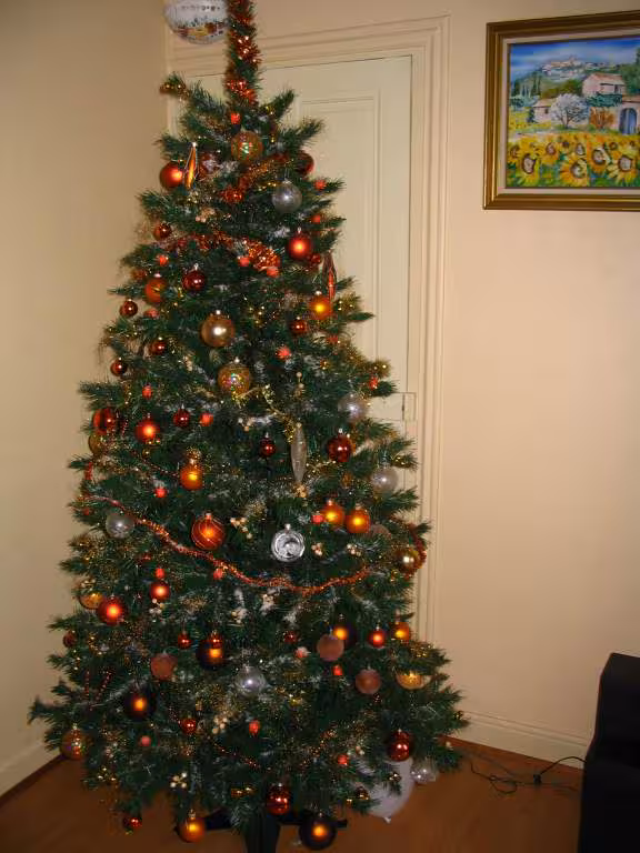 Mon beau sapin de noel 2005