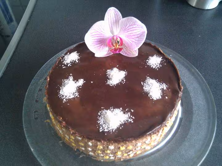 Entremet choc coco