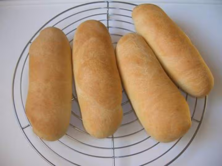 Spirodogs1