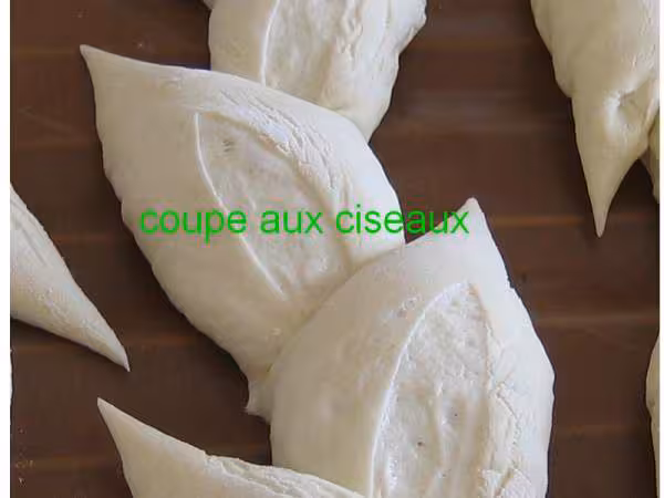 Coupe epi