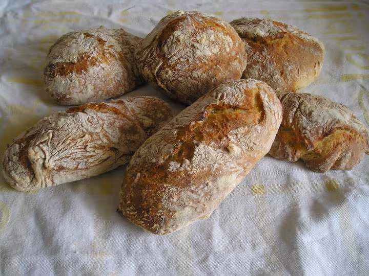 Petits pains sans petrissage 22 01 07