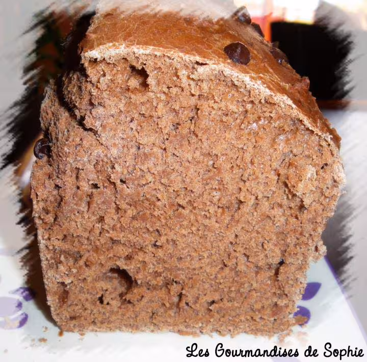 Brioche au cacao et pepites de chocolat