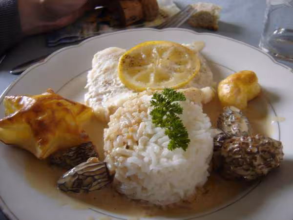 Filet de loup a la creme de morilles