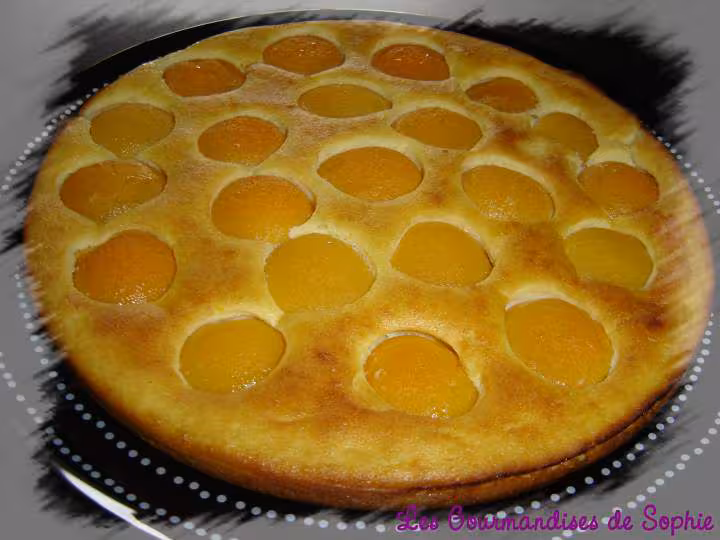 Gateau facon clafoutis aux abricots