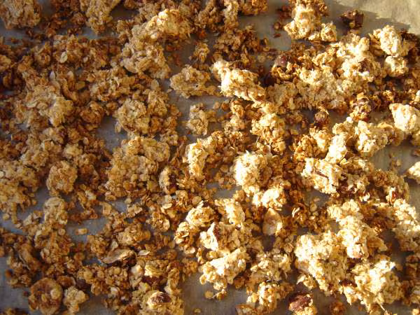 Muesli croustillant au chocolat et noisettes