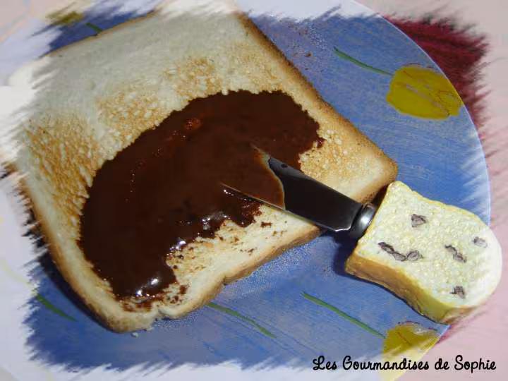 Pate a tartiner chocolat pralinoise
