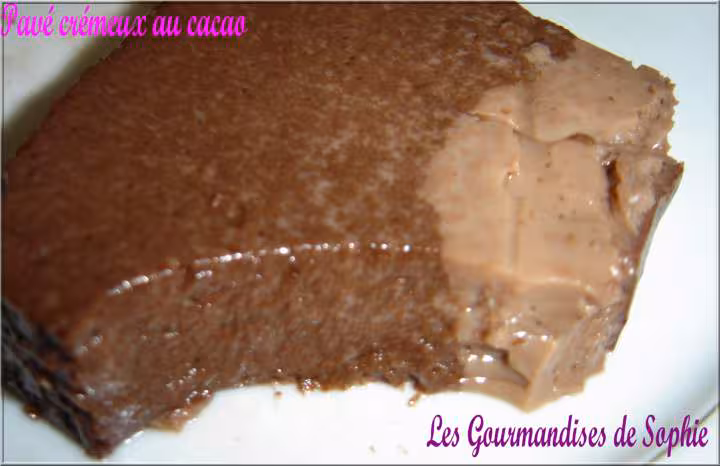 Pave cremeux au cacao en tranche