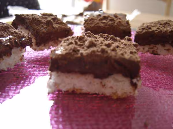 Paves meringues a la noix de coco et au chocolat