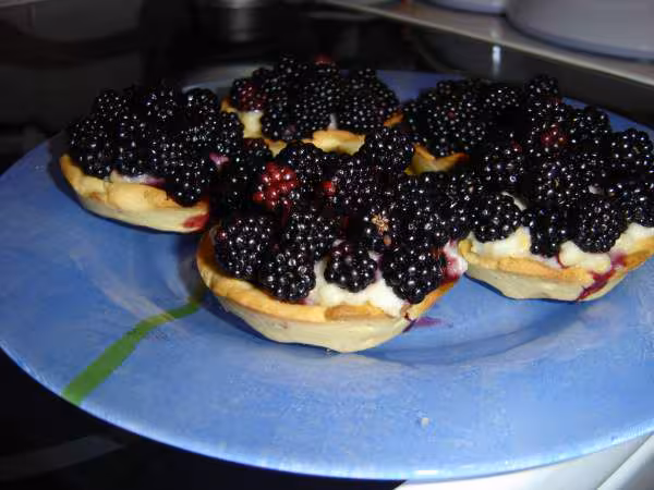 Tartelettes aux mures