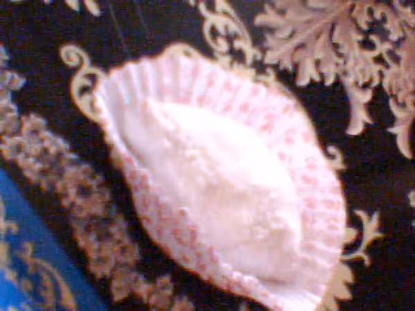 Losange aux amandes