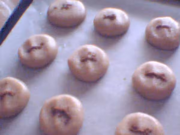 Montecao