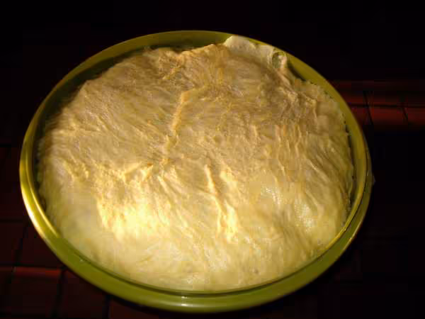 Brioche caribou54 2eme essai