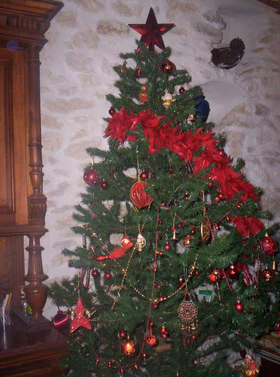 Sapin2