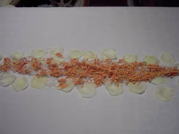 Chemin de table invite 1