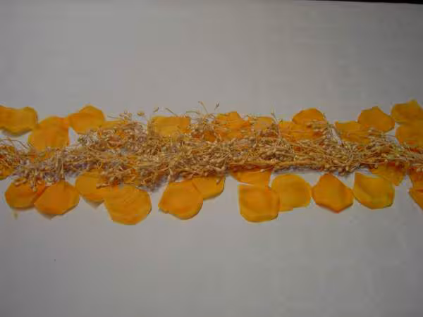 Chemin de table invite 2