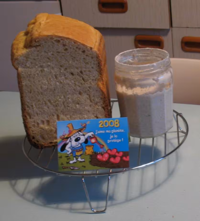 Brioche 2008