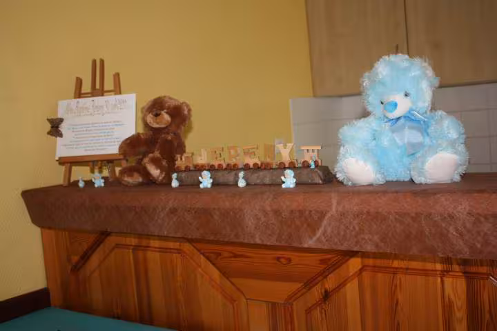 Bapteme theme oursons