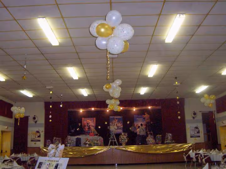 Theme cinema