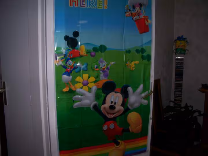 Theme mickey