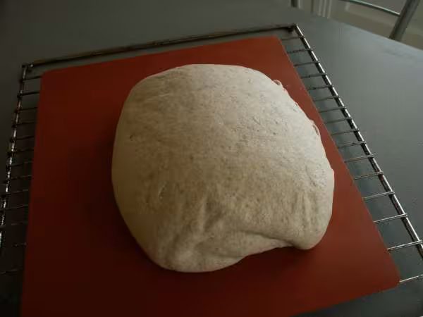Pain au levain liquide seigle et f complete