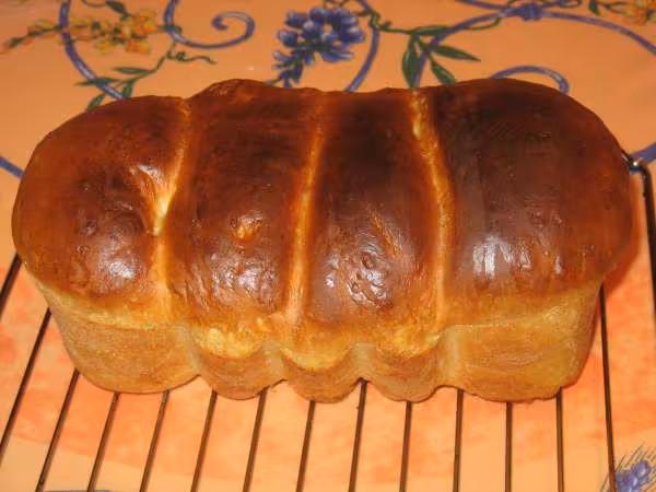 Pain viennois