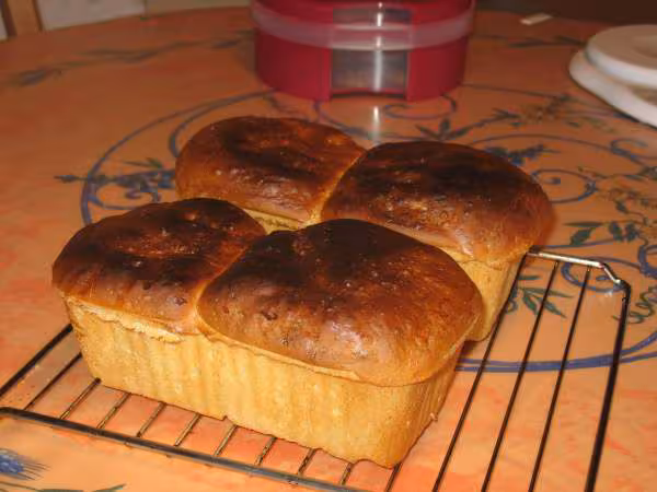 Pain viennois