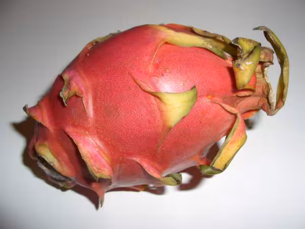 Quel est ce fruit