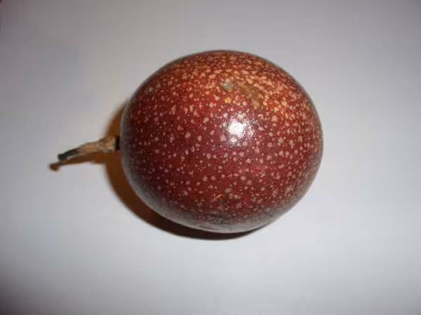 Quel est ce fruit