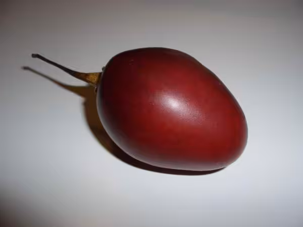 Quel est ce fruit