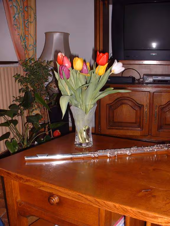 Photo 1
