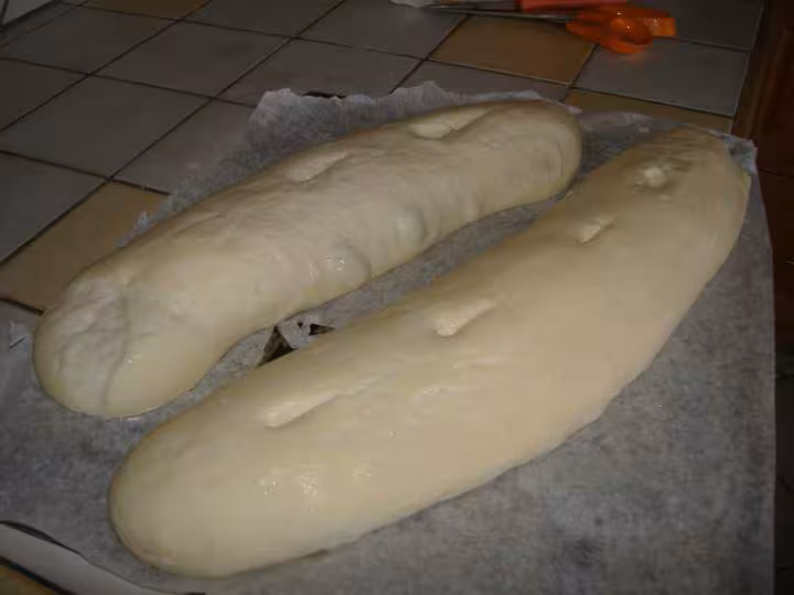 Baguettes sur poolish avant cuisson