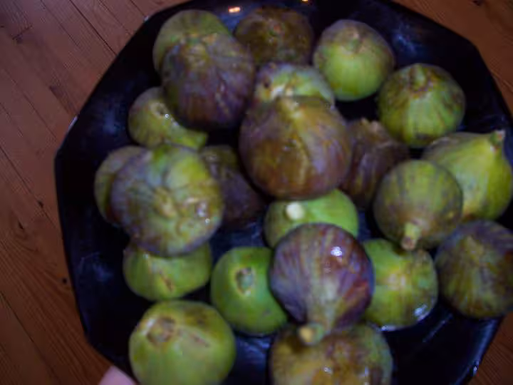 Figues que l ont m a donne