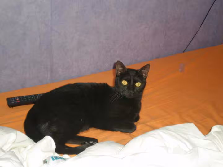 Ma petite choupinette