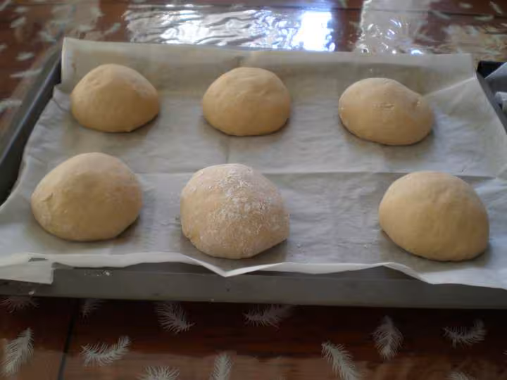 Petits pains de vivire