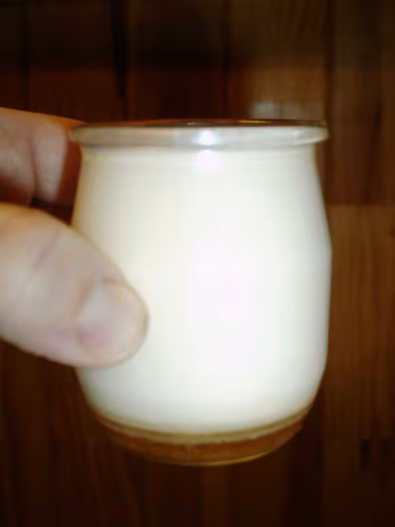 Yaourt au caramel