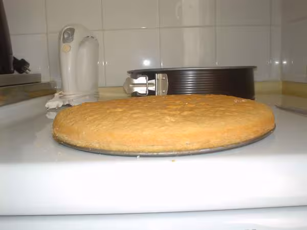 Fraisier