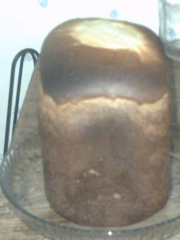 Brioche