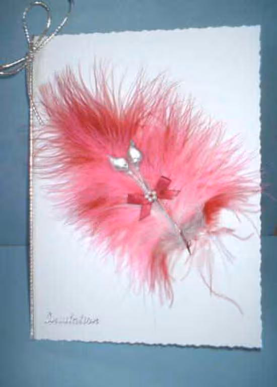 Idee deco plumes faire part