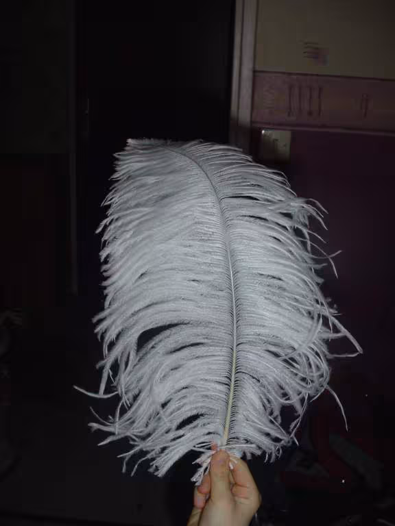 Les grandes plumes