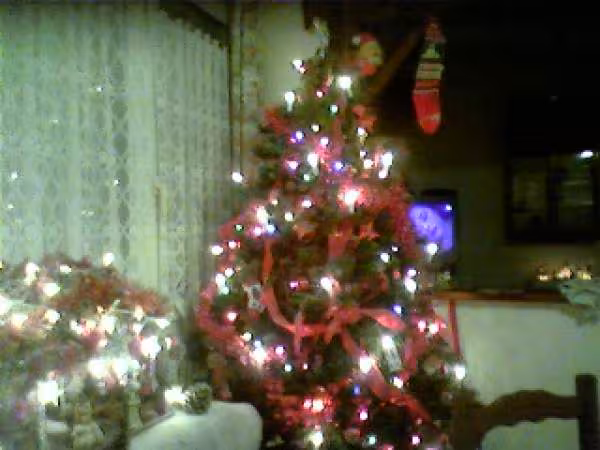 Arbre de noel