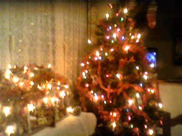 Arbre et creche