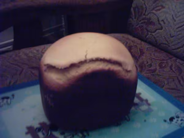 Brioche aux yaourts