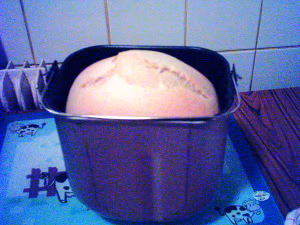 Brioche aux yaourts 2eme essai dans la cuve