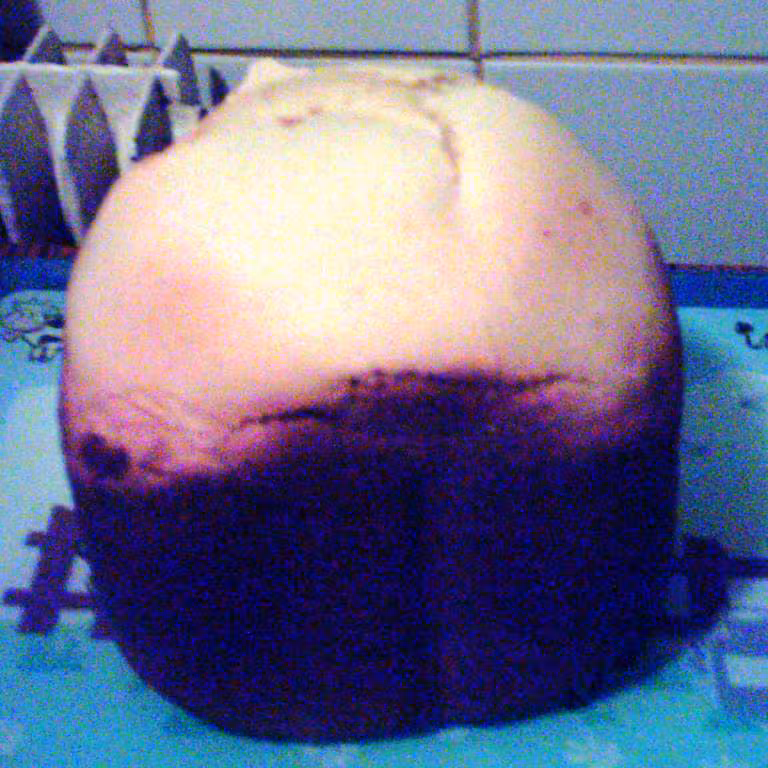 Brioche aux yaourts 2eme essai demoulee